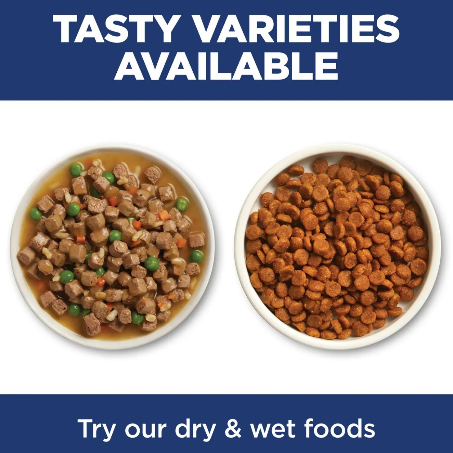 Salmon & Vegetables Stew Indoor Adult Cat Food