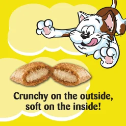 Savoury Salmon Flavour Cat Treats
