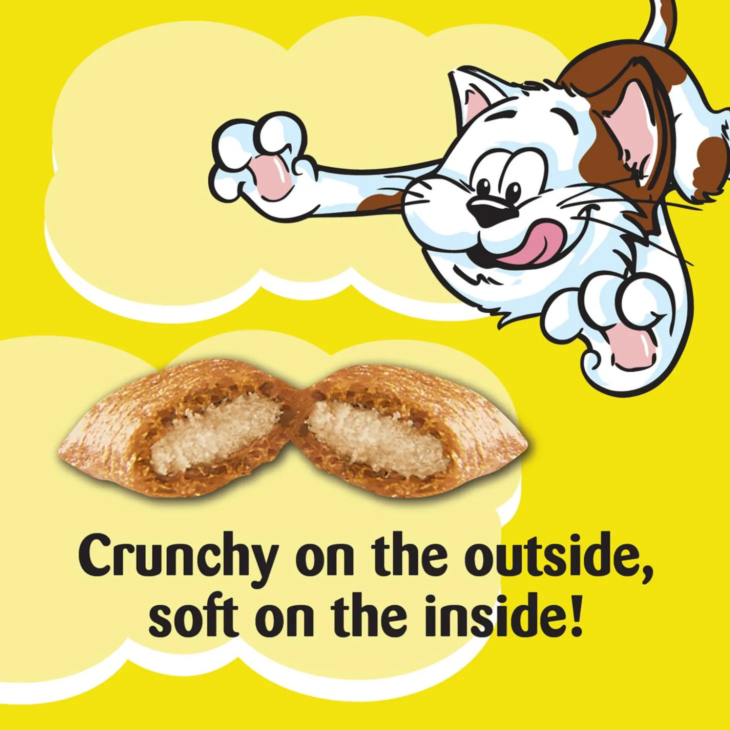 Savoury Salmon Flavour Cat Treats