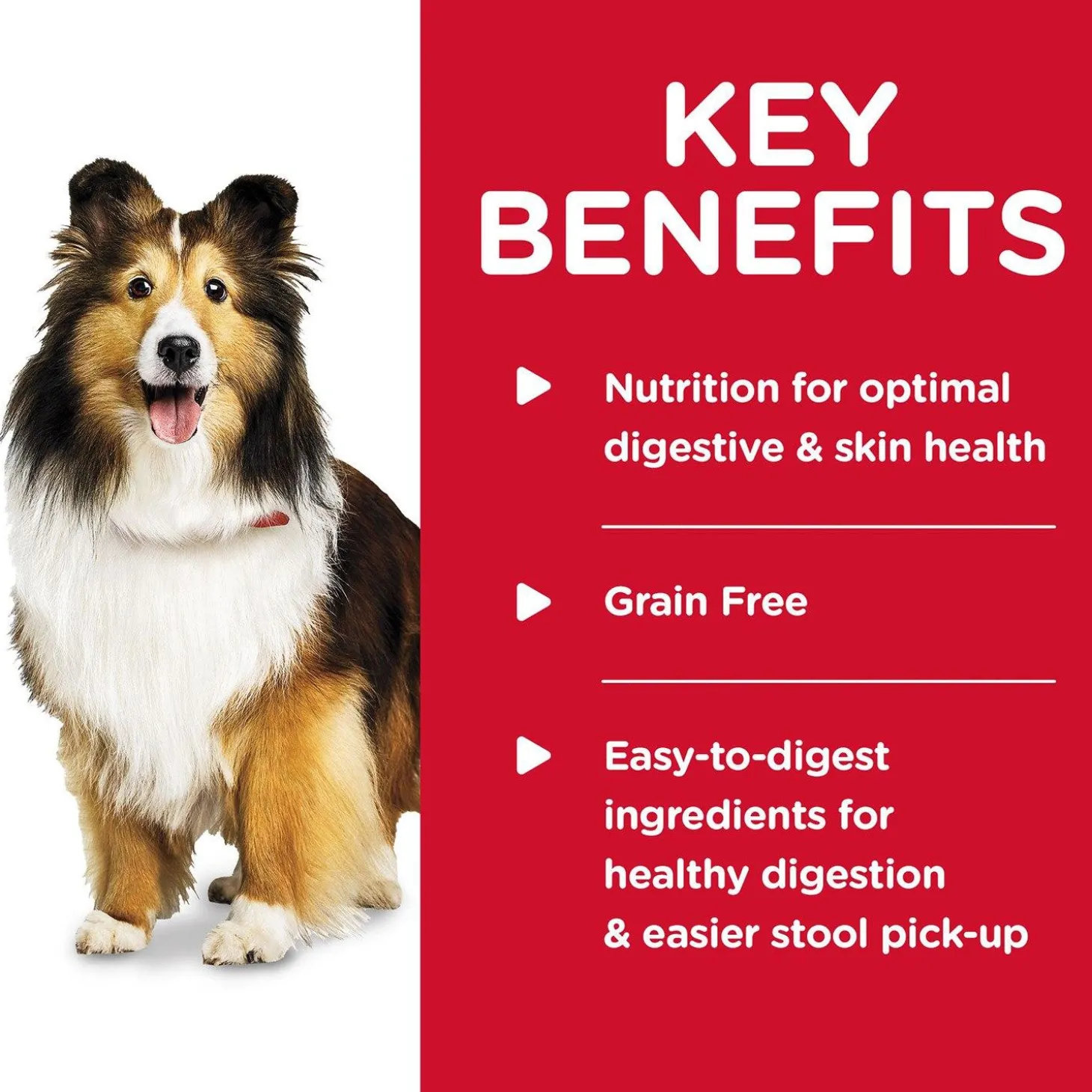 Sensitive Stomach & Skin Salmon & Vegetable Entree Adult Dog Food
