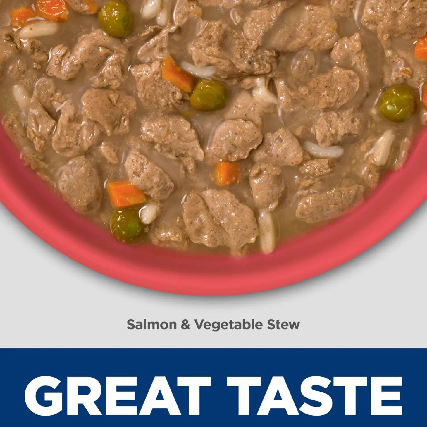 Sensitive Stomach & Skin Salmon & Vegetable Stew Puppy Dog Food