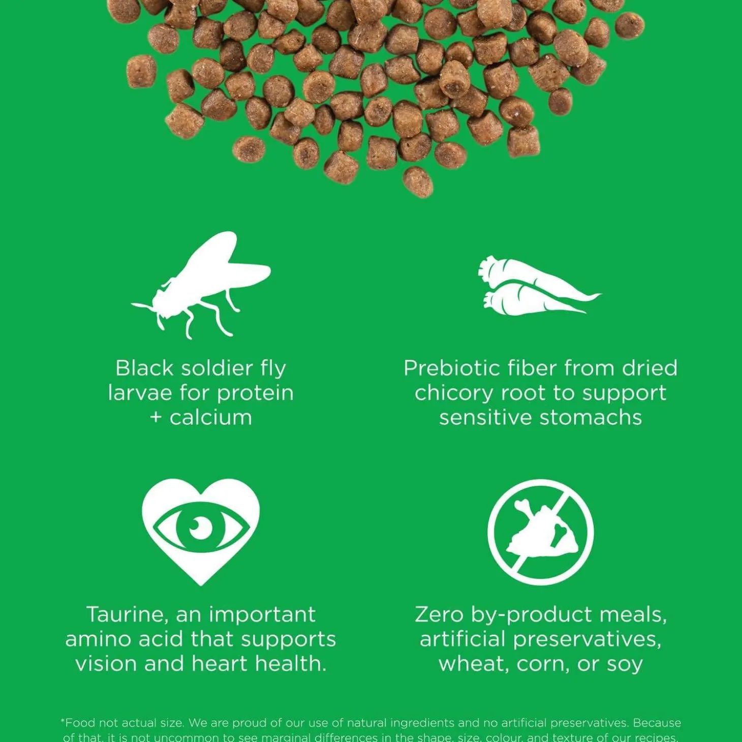 Sensitivities Limited Ingredient Grain-Free Insect Recipe Adult Cat Food