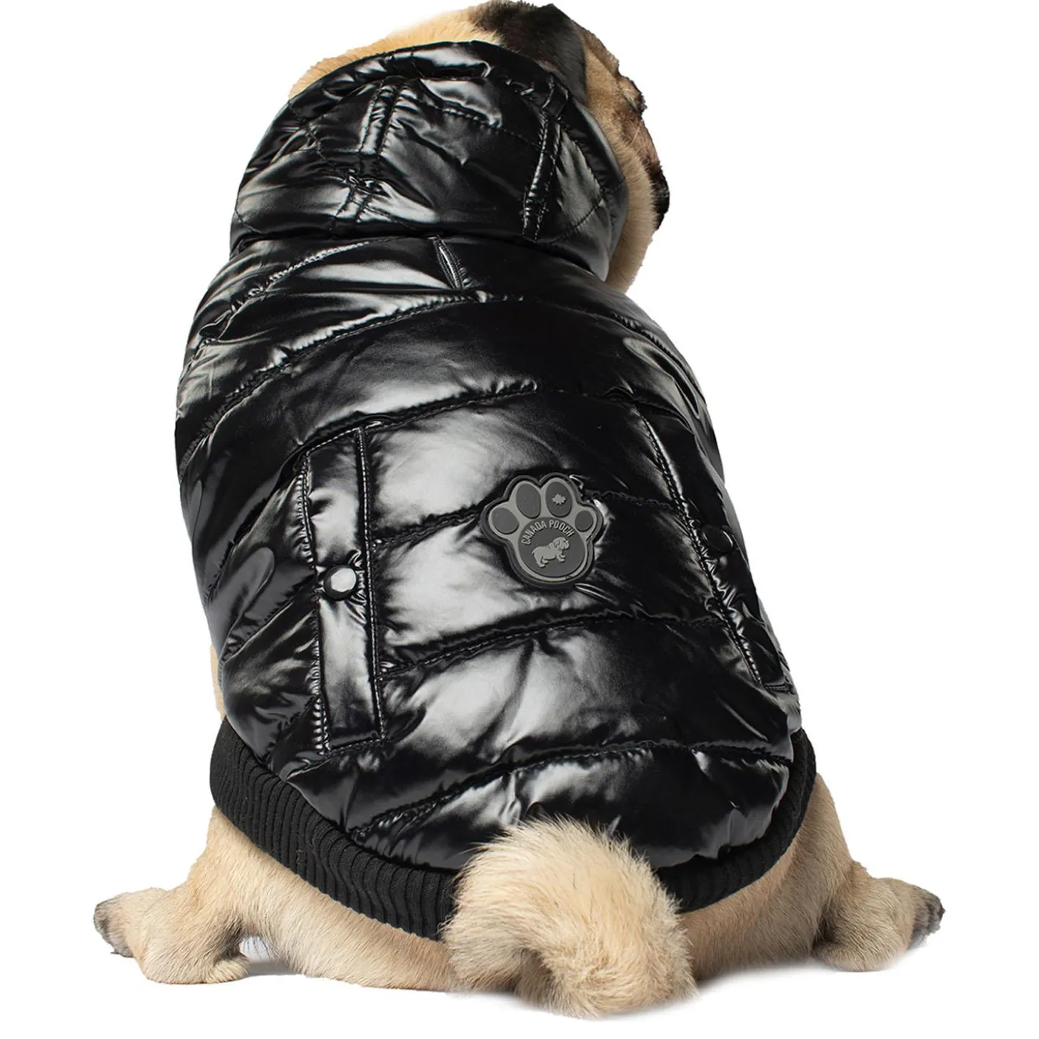Shiny Black Puffer Vest