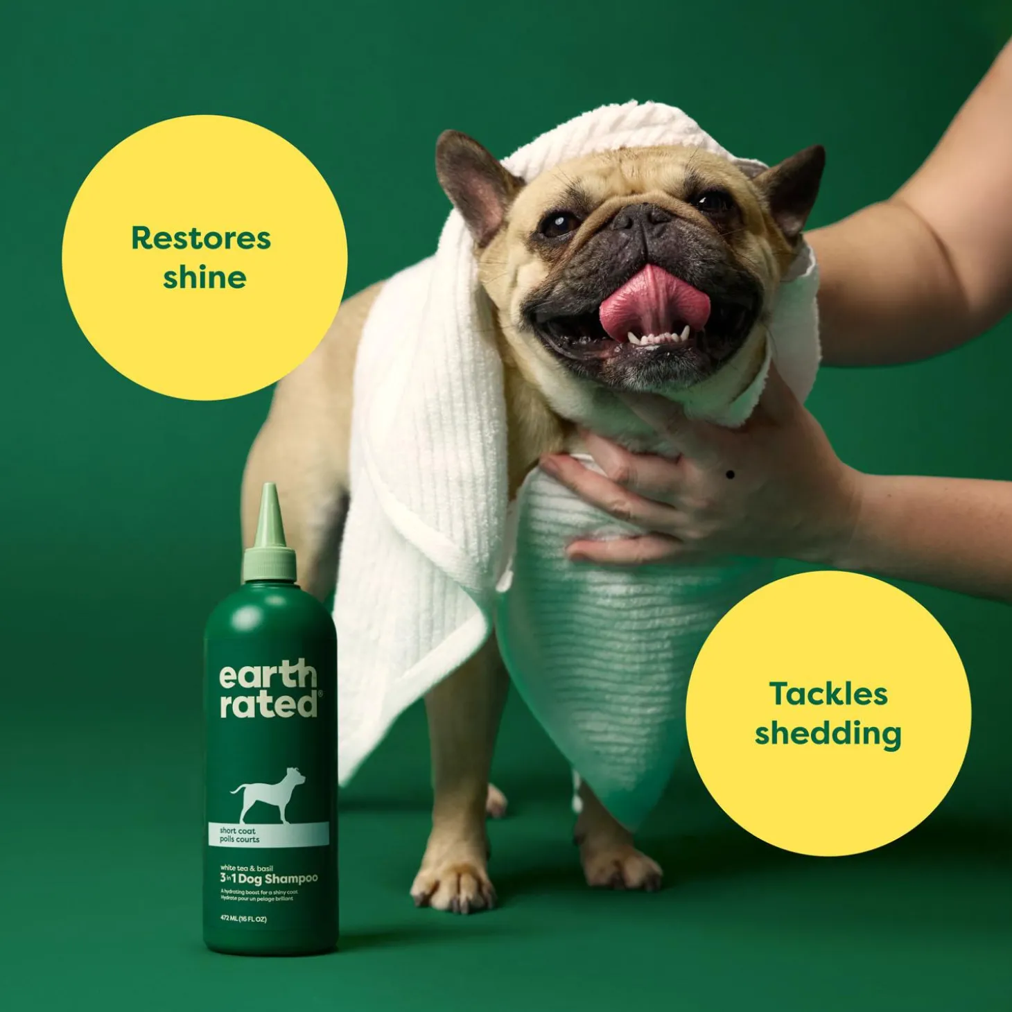 Short Coat 3-in-1 White Tea & Basil Dog Shampoo