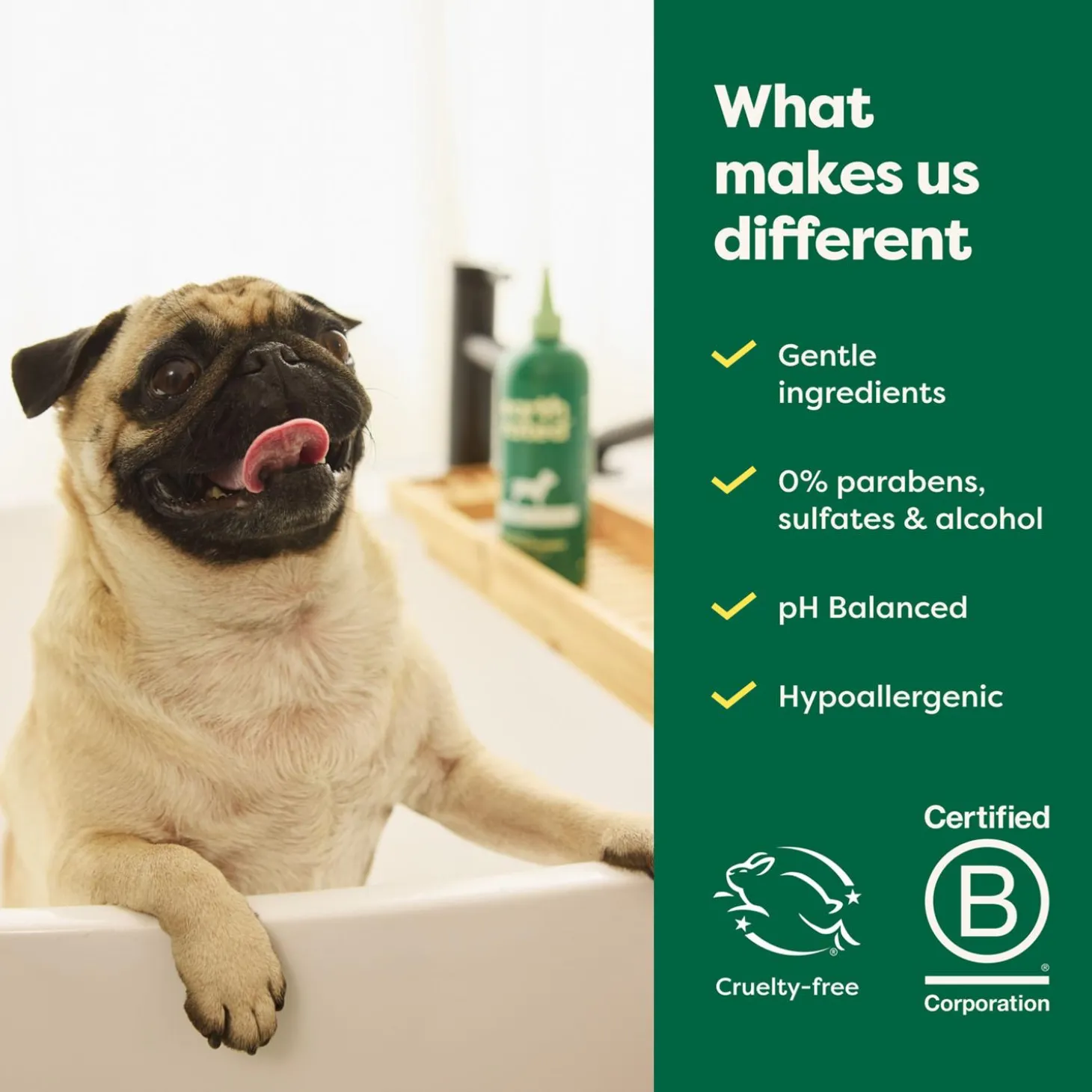 Short Coat 3-in-1 White Tea & Basil Dog Shampoo