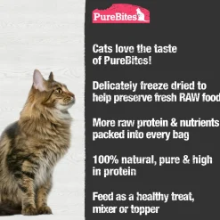 Shrimp Cat Treats