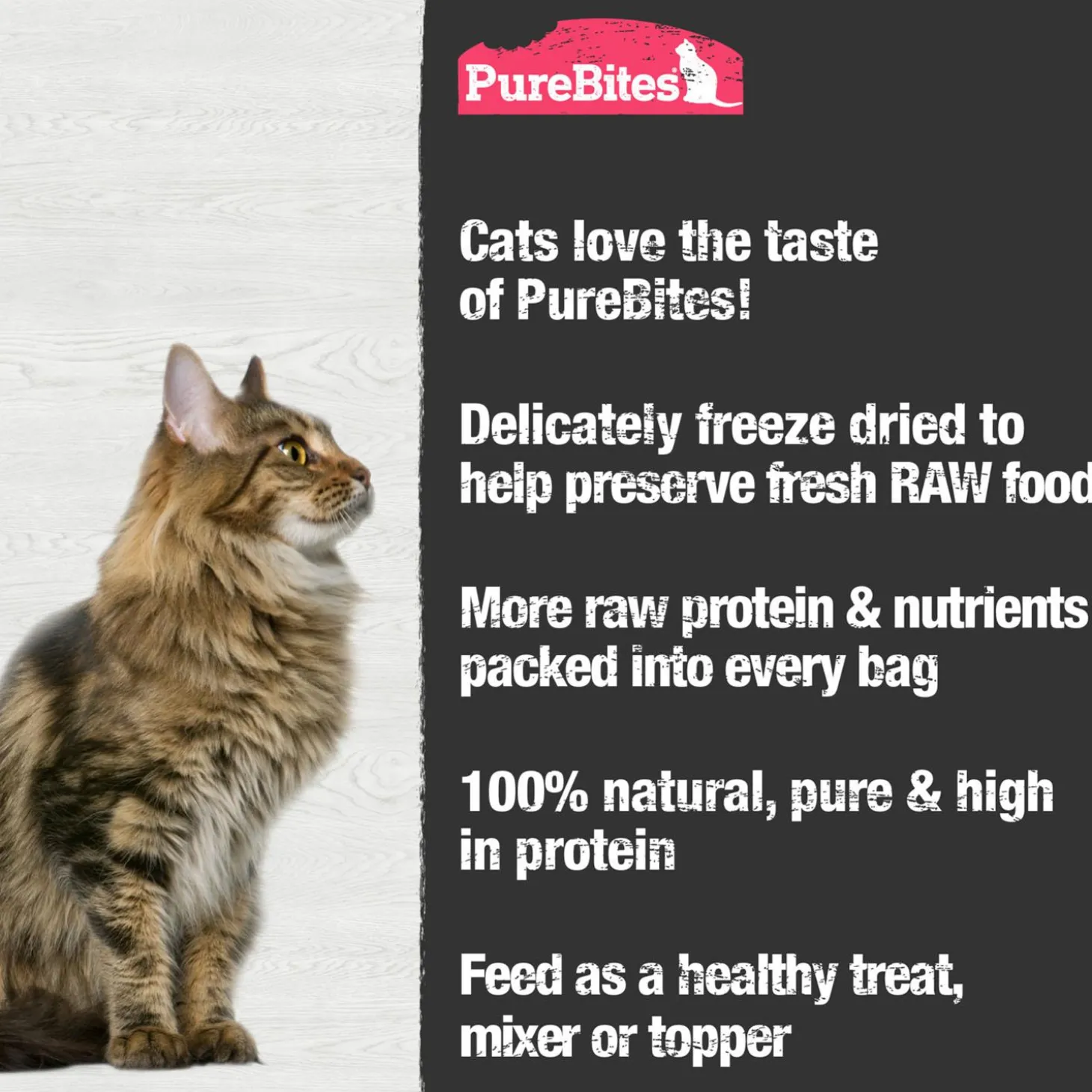 Shrimp Cat Treats