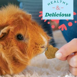 Simple Rewards Veggie Small Animal Treats