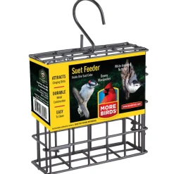 Single Suet Feeder