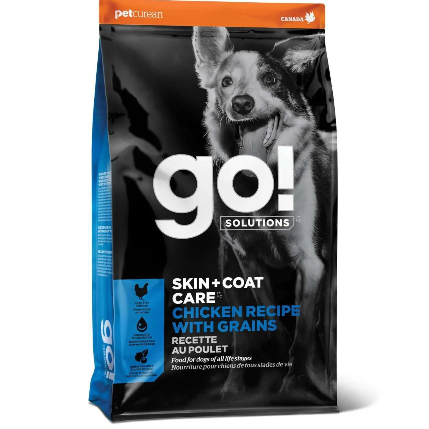Skin + Coat Care Chicken With Grains Recipe Dog Food
