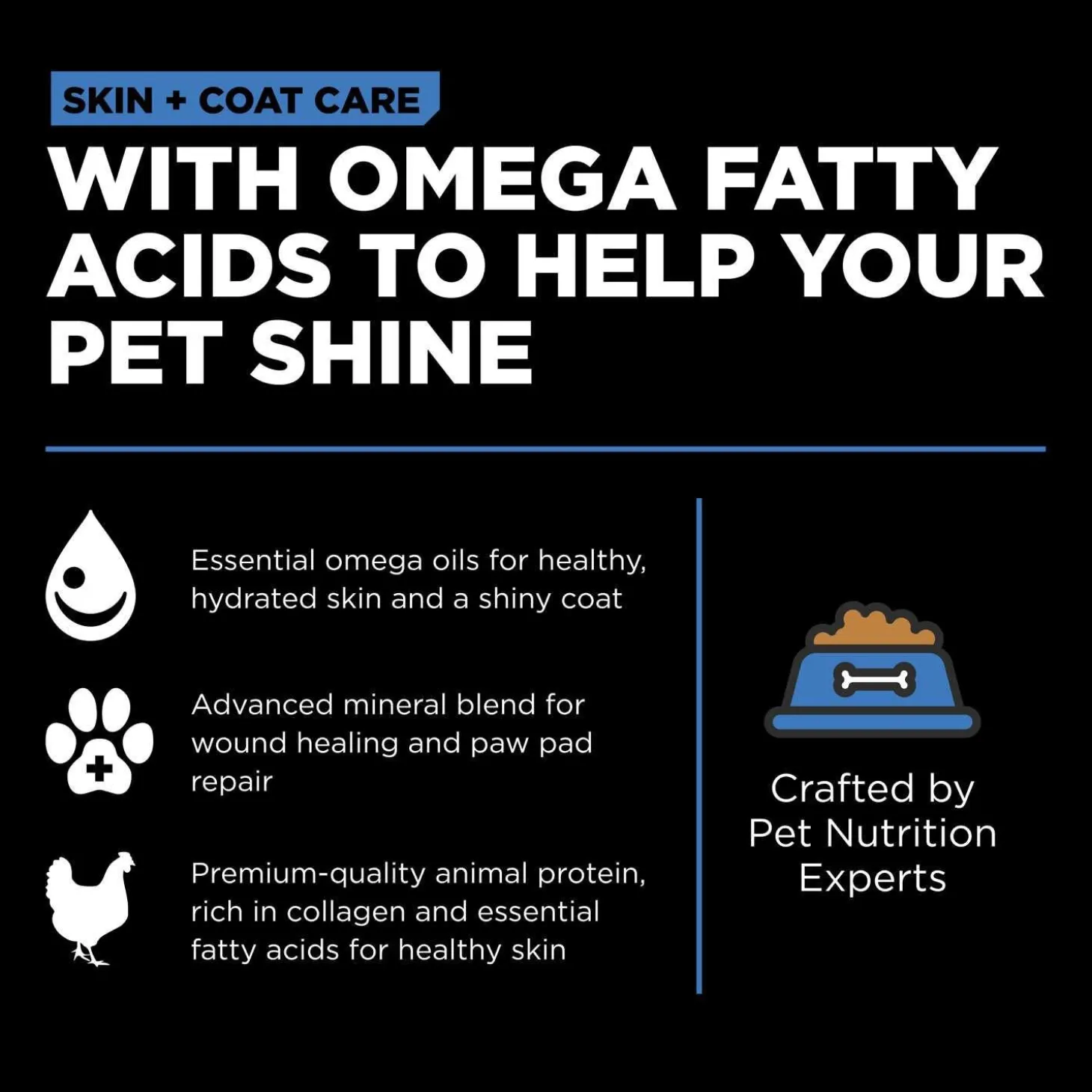 Skin + Coat Care Chicken With Grains Recipe Dog Food