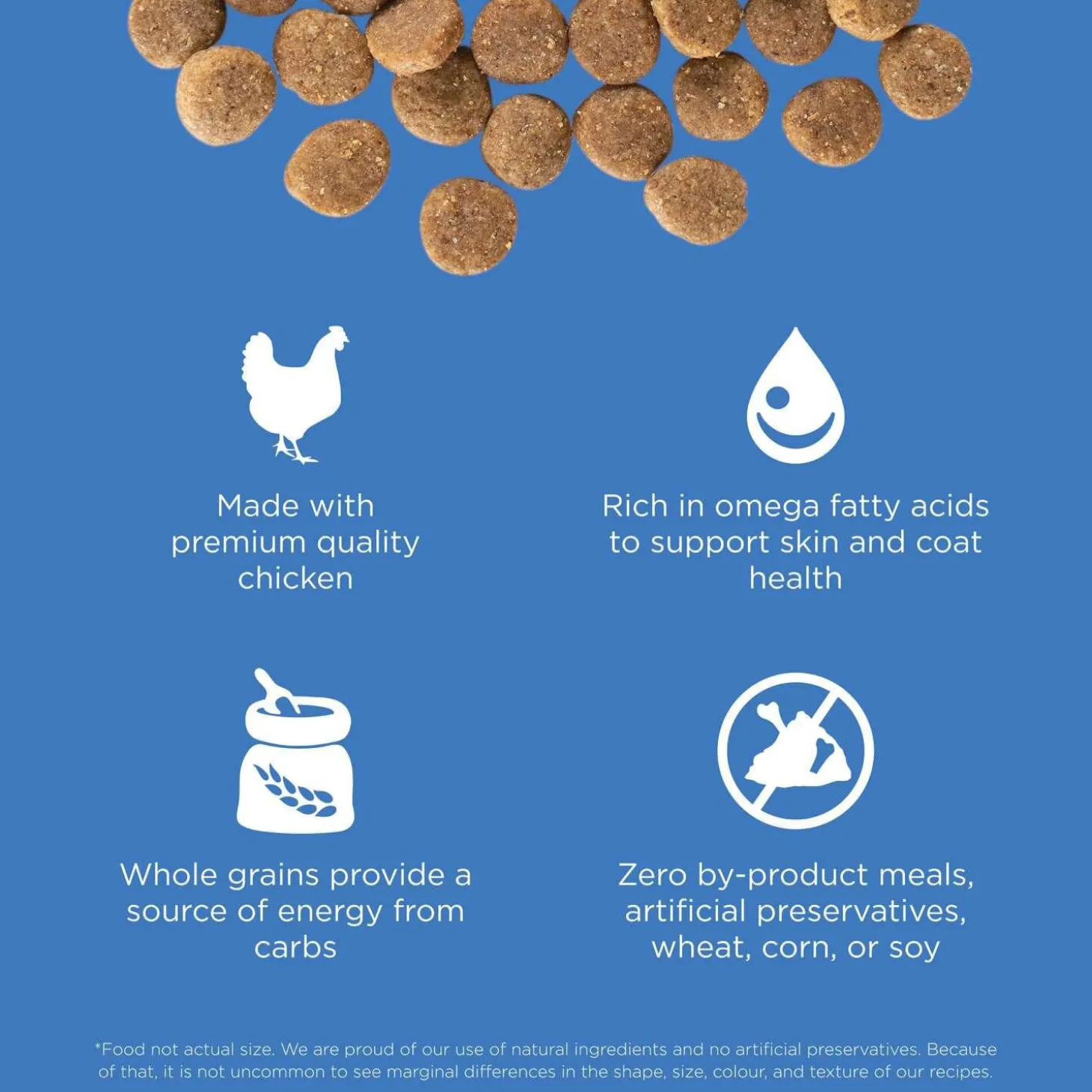 Skin + Coat Care Chicken With Grains Recipe Dog Food