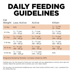 Skin + Coat Care Grain-Free Salmon Recipe Cat Food