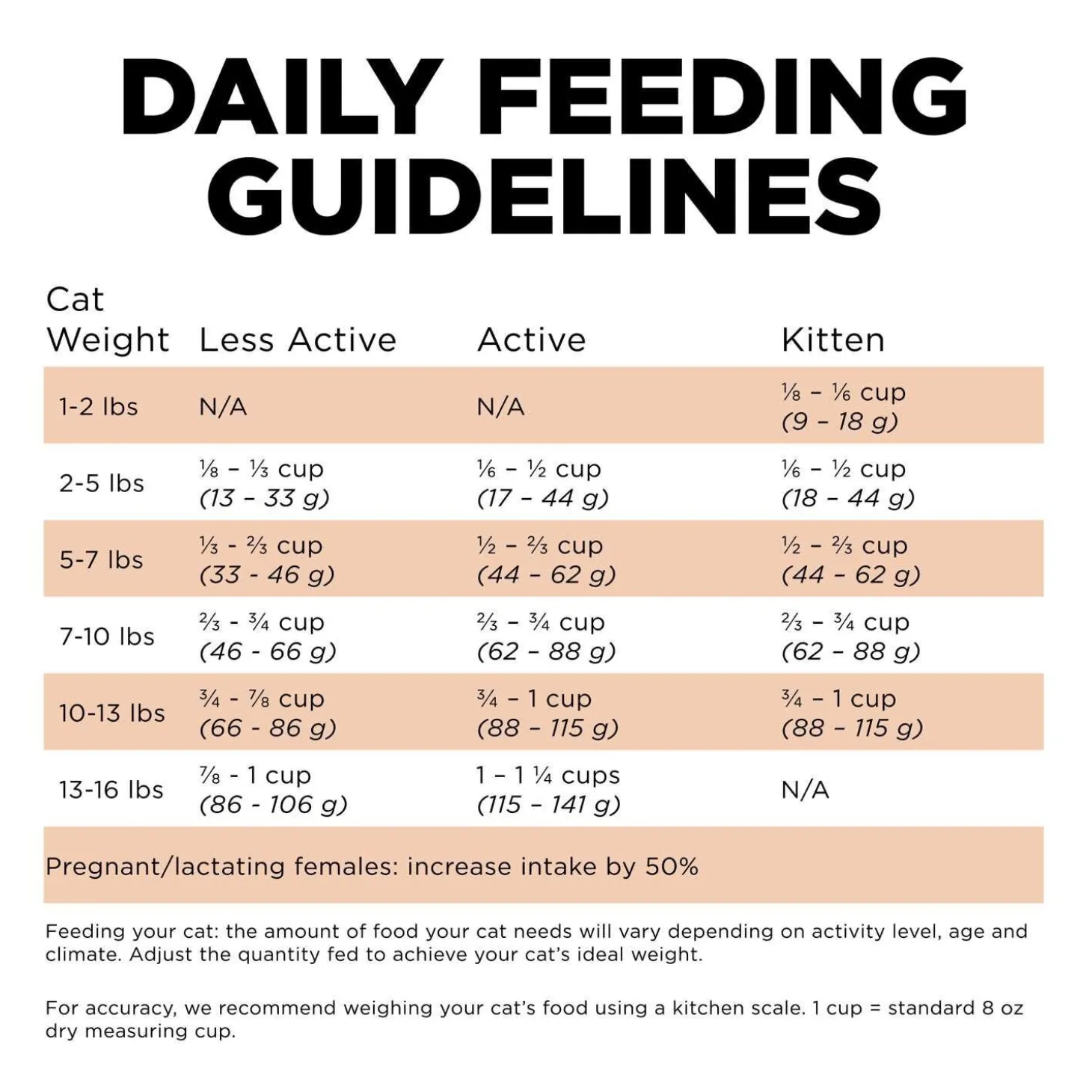 Skin + Coat Care Grain-Free Salmon Recipe Cat Food