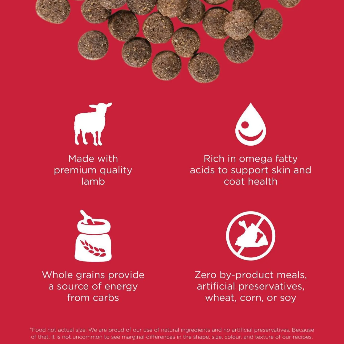 Skin + Coat Care Lamb With Grains Recipe Dog Food