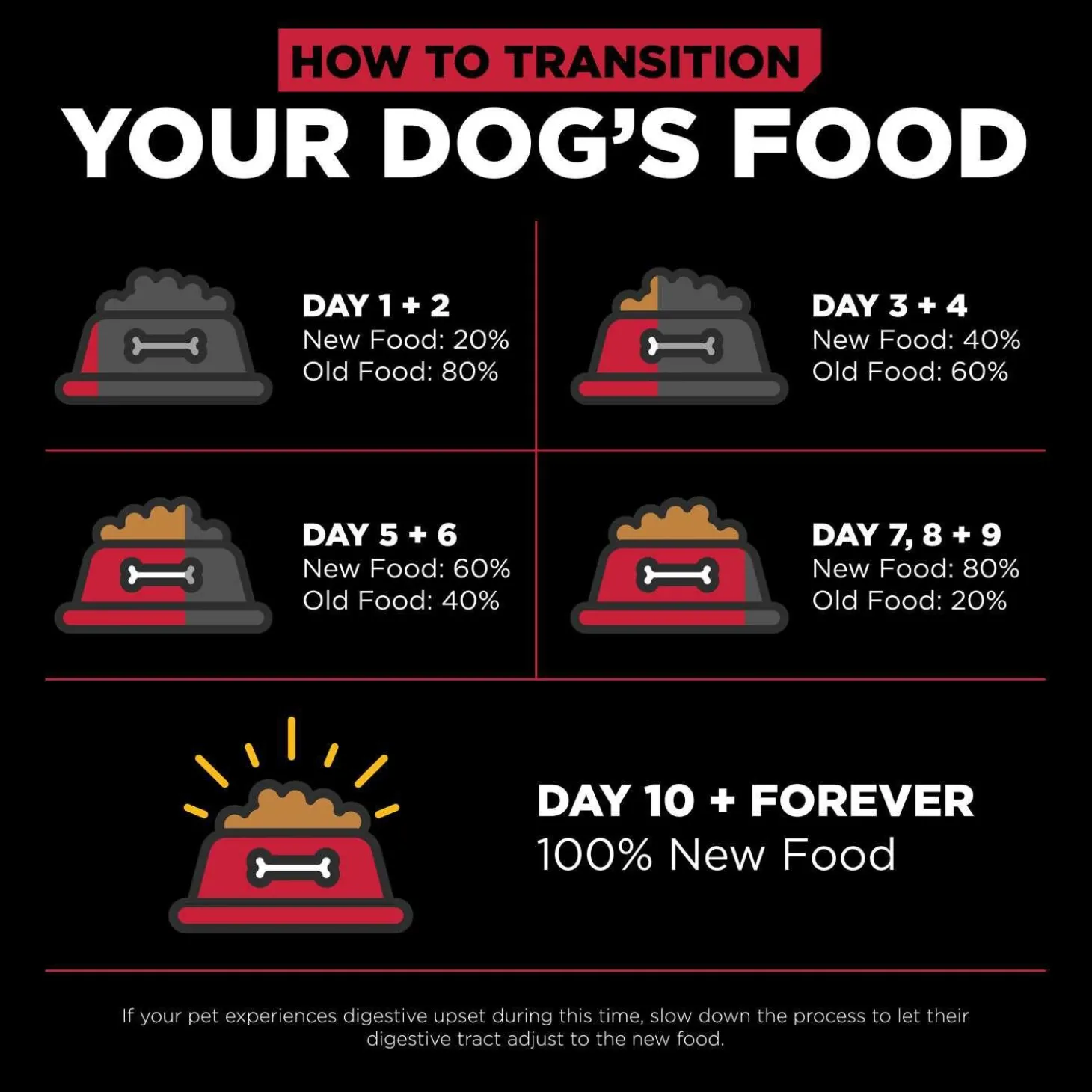 Skin + Coat Care Lamb With Grains Recipe Dog Food