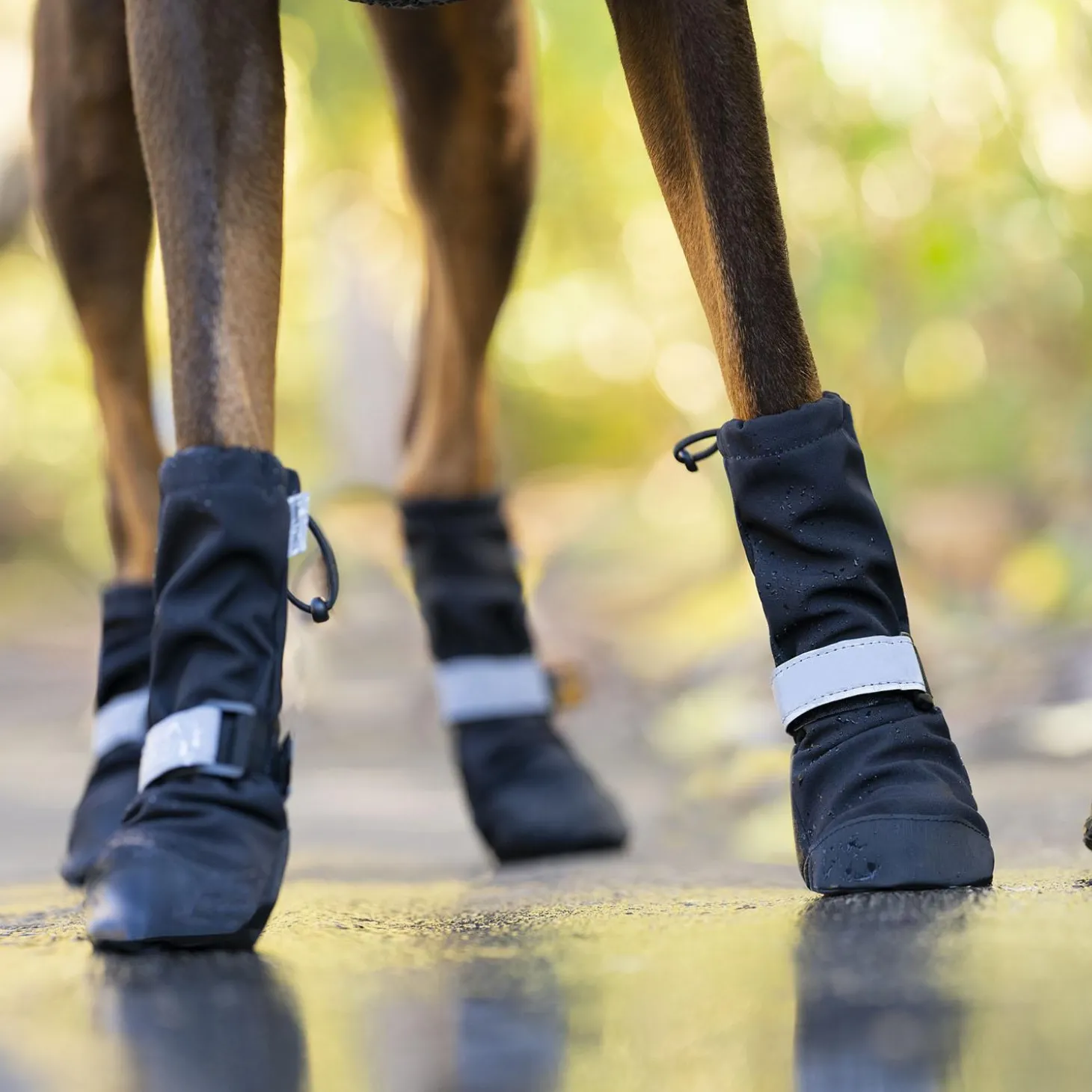 Soft Shield Boot Black