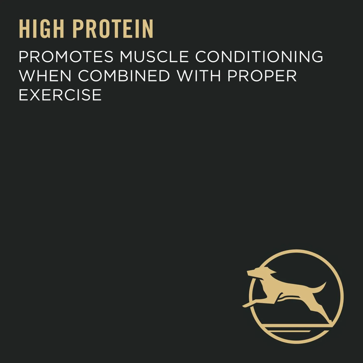 Specialized Chicken & Rice Formula Large Breed Adult Dog Food