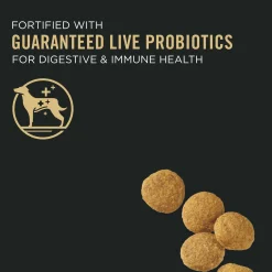 Specialized Weight Management Chicken & Rice Formula Large Breed Adult Dog Food