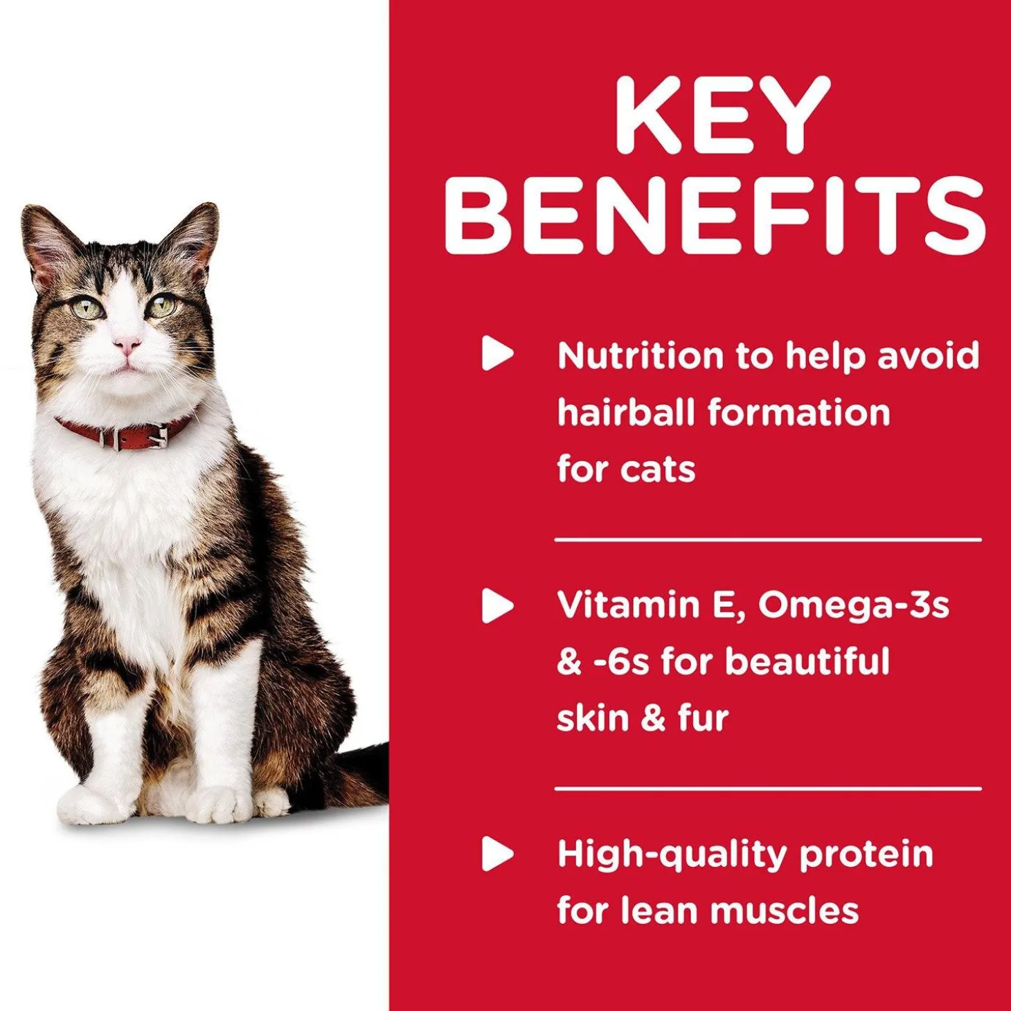 Specialty Hairball Control Savoury Chicken Entree Adult Cat Food