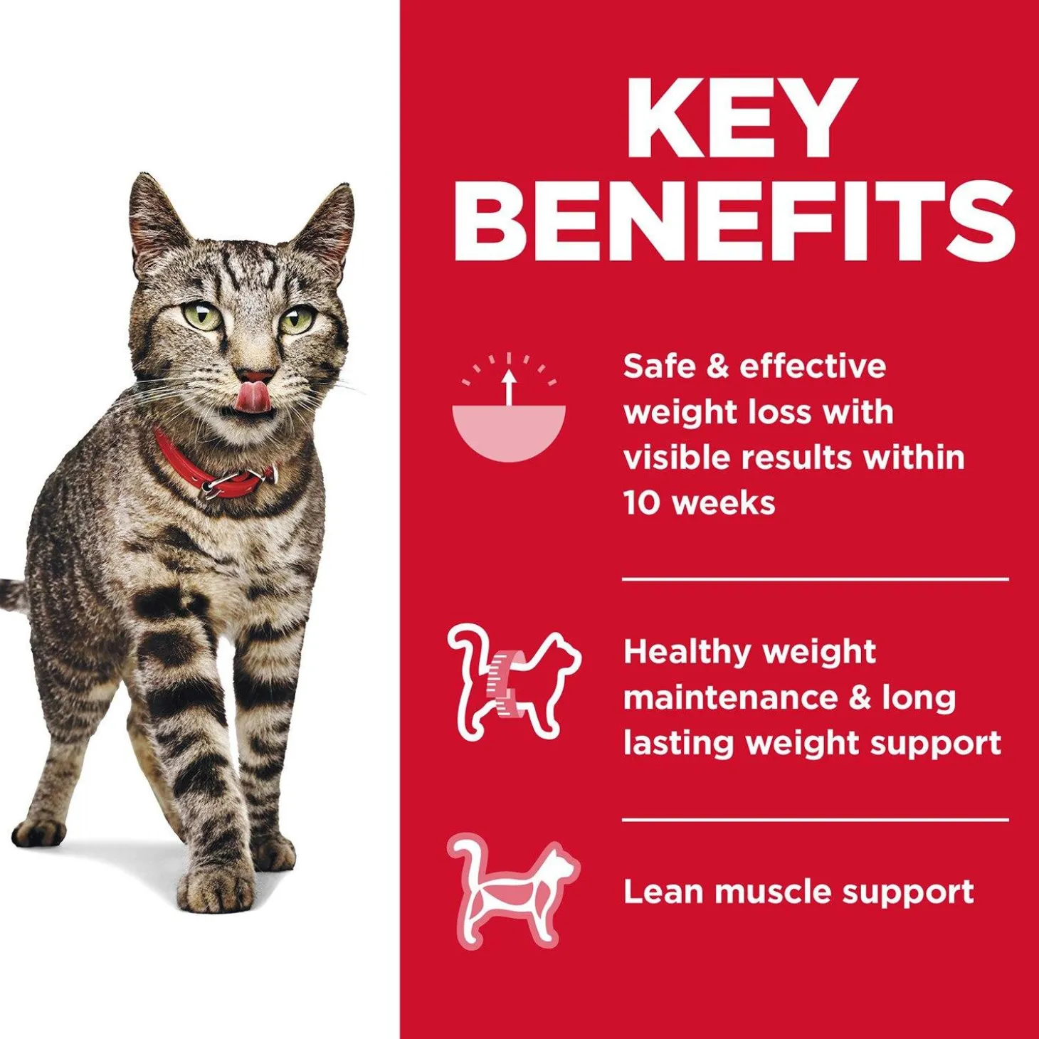 Specialty Perfect Weight Chicken Recipe Adult Cat Food