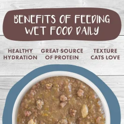 Stew! Kettle Call Beef, Chicken & Salmon Dinner Cat Food