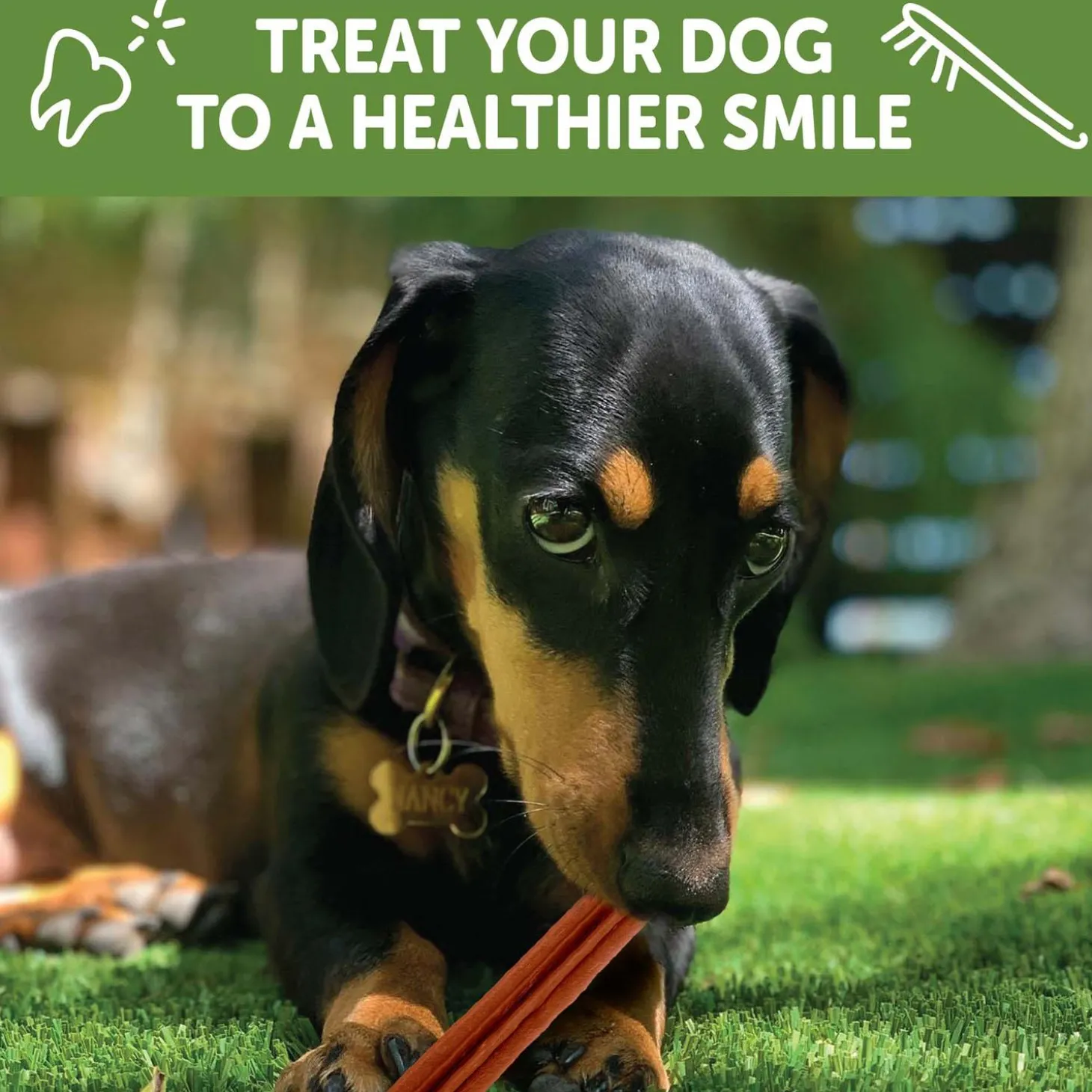 Stix Small Chews Dog Treats