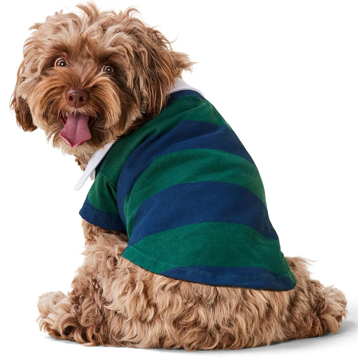 Striped Polo Shirt