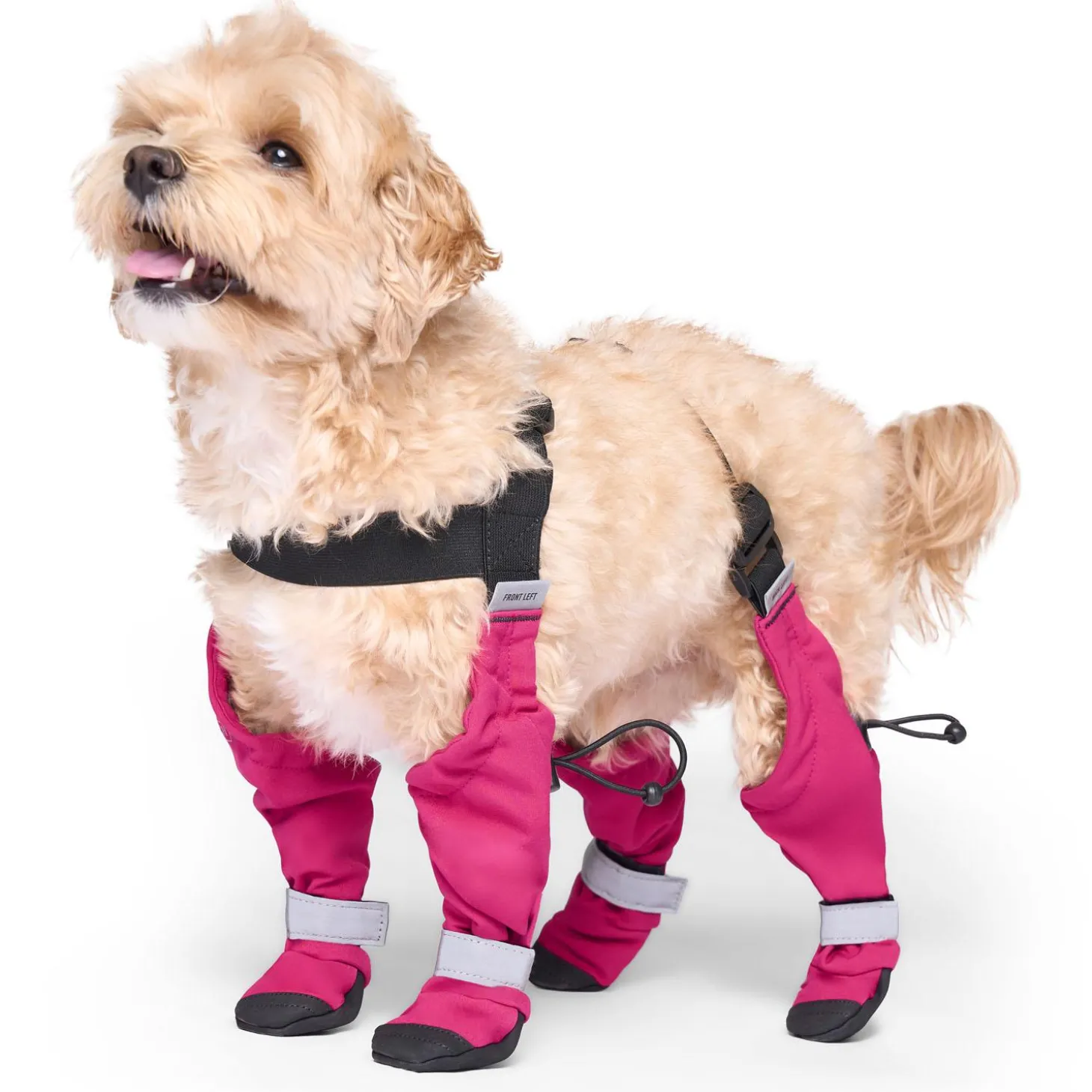 Suspender Short Pink Dog Boots