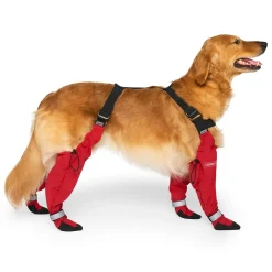 Suspender Short Red Dog Boots