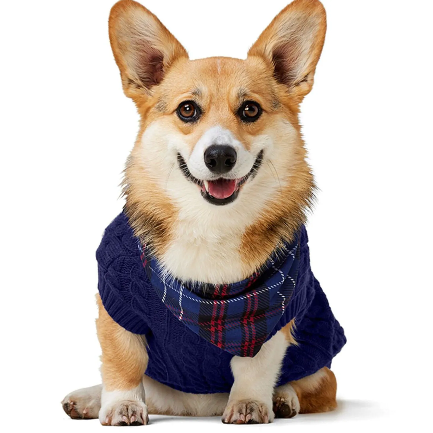 Tartan Bandana