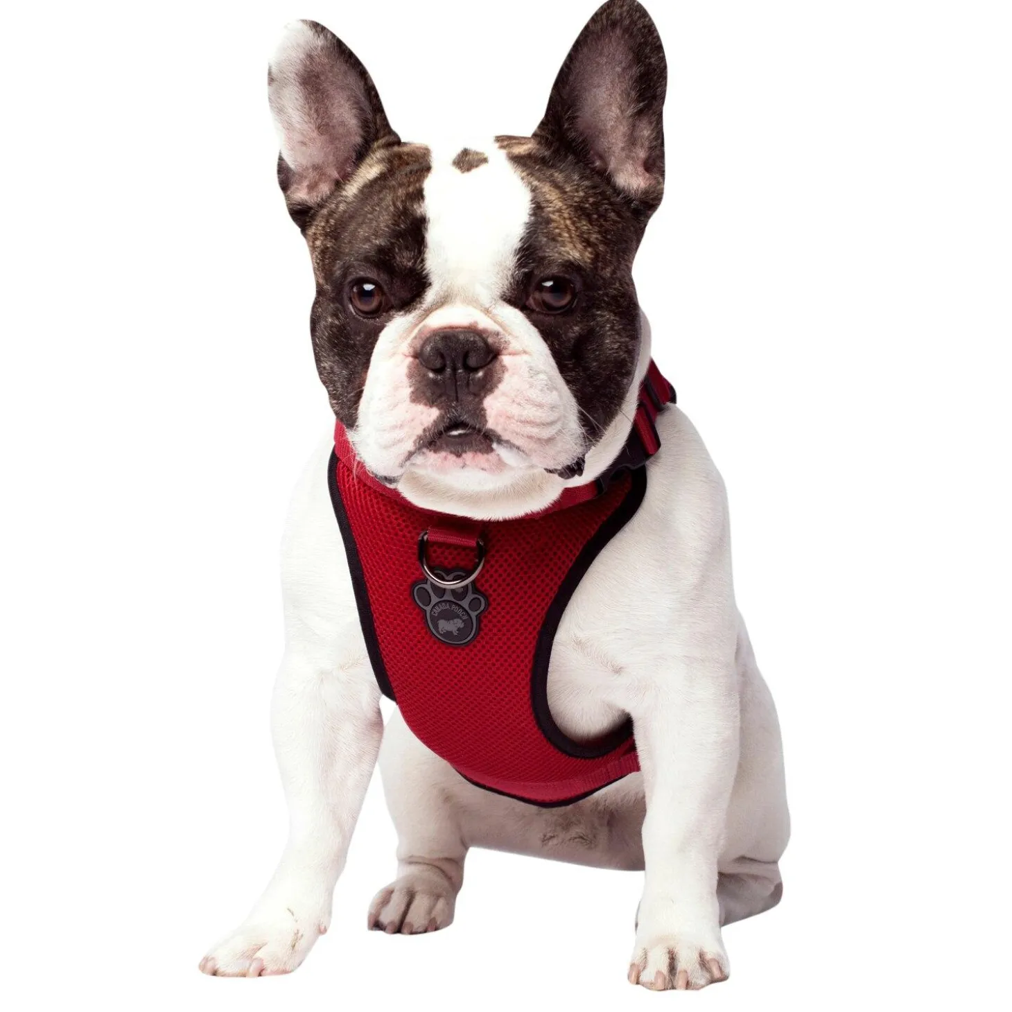 The Everything Mesh Harness Red