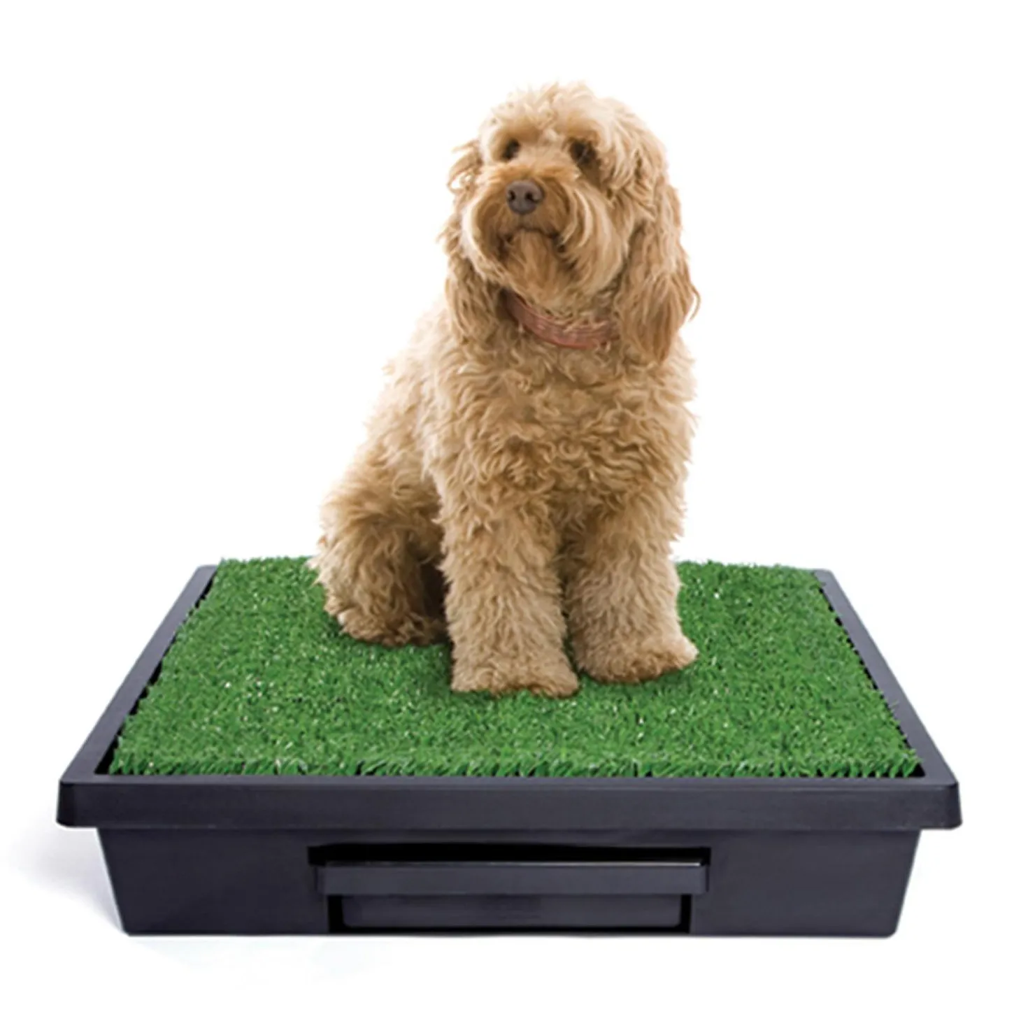 The Pet Loo