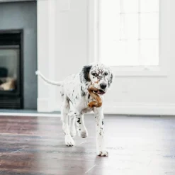 Tripe Bone Dog Toy