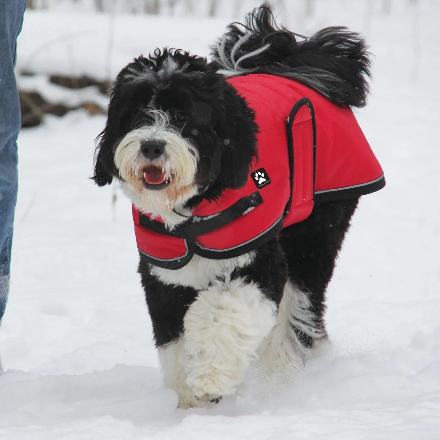 Tundra Red Coat