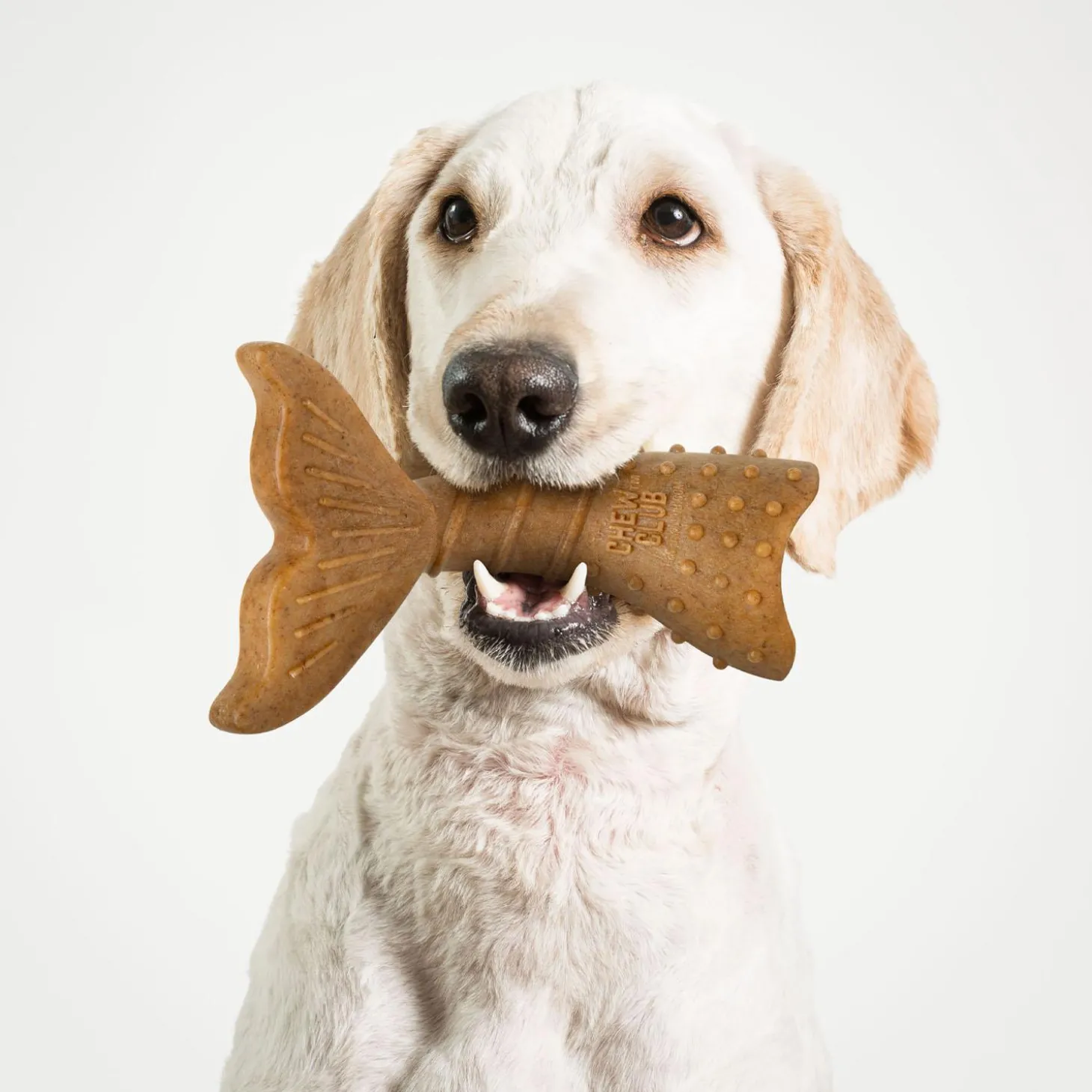 Twist Tail Tough Chew Dog Toy