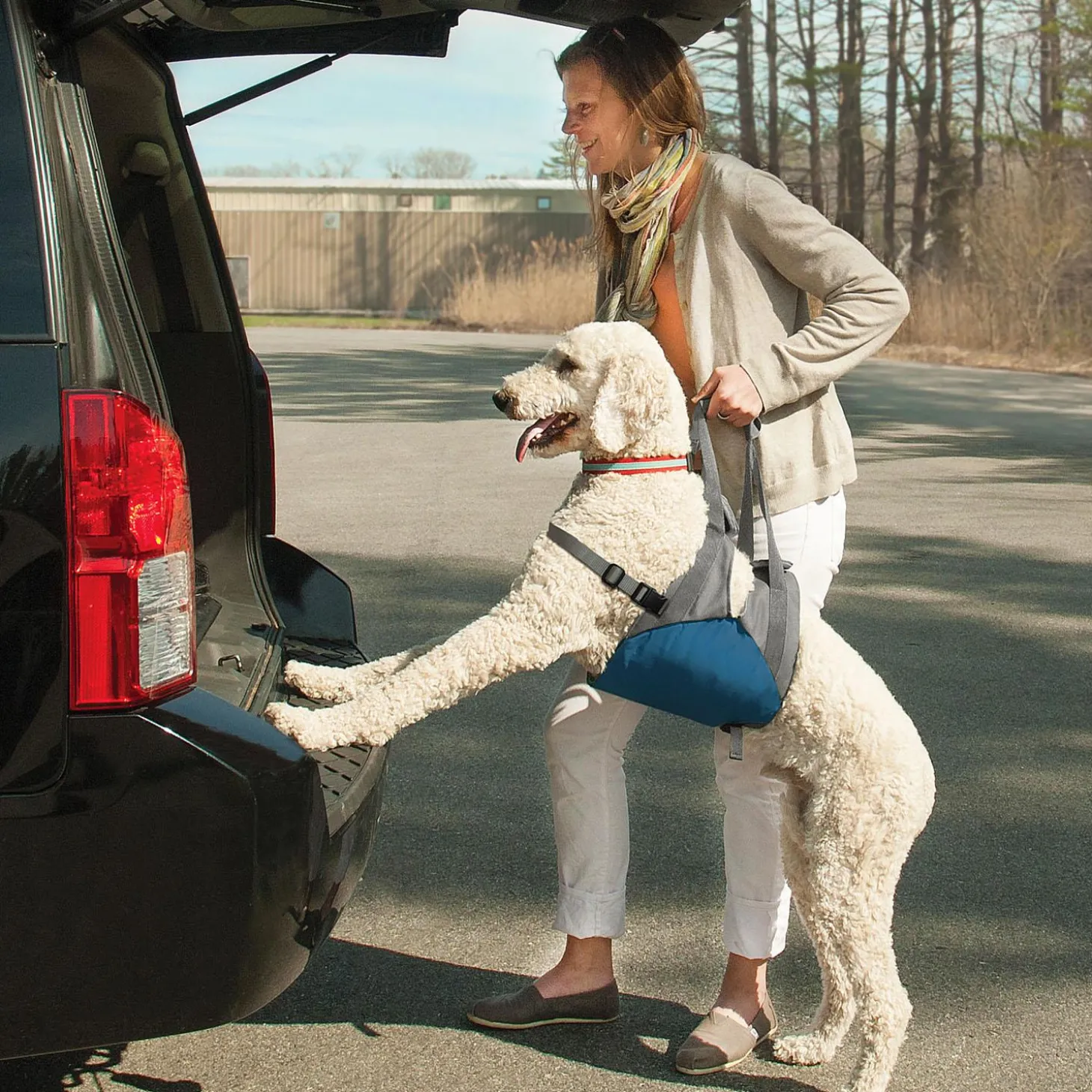 Up & About Dog Lifter