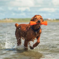 Urban Stick Dog Toy