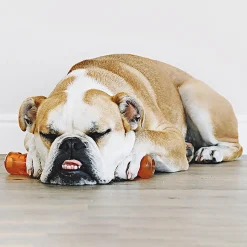Urban Stick Dog Toy