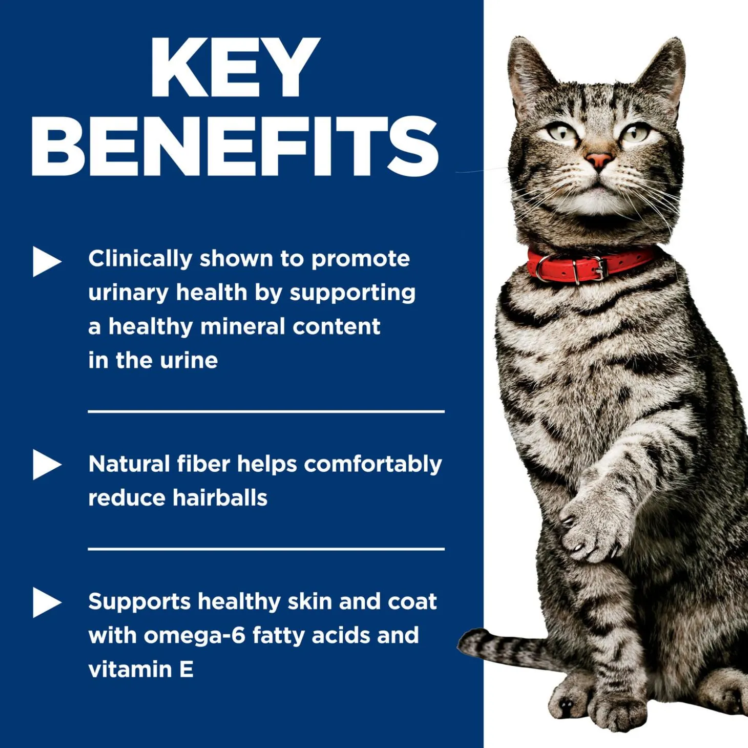 Urinary Hairball Control Vegetable & Salmon Stew Adult Cat Food