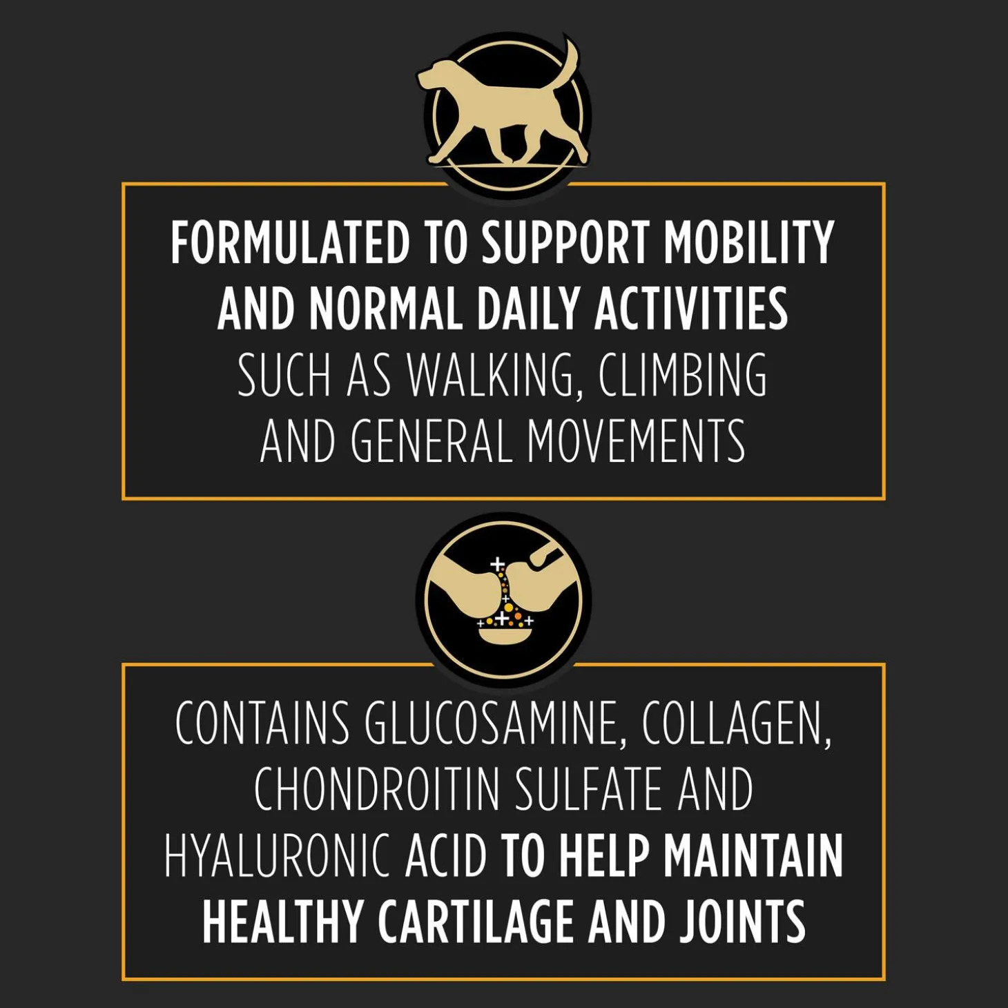 Veterinary Joint Care for Medium-Large Dog Supplements