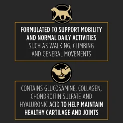 Veterinary Joint Care for Small-Medium Dog Supplements