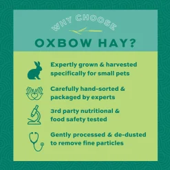 Western Timothy Hay
