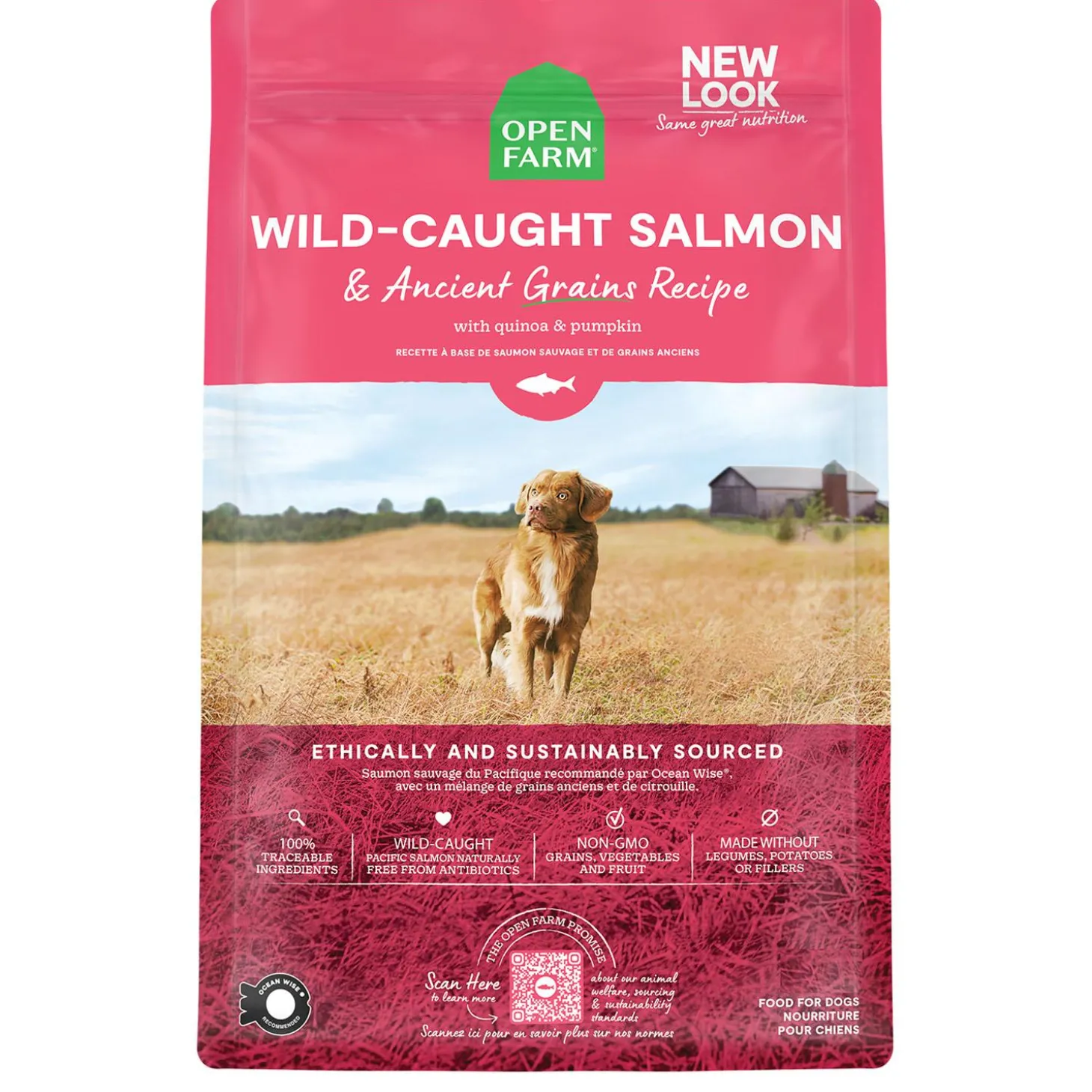 Wild-Caught Salmon & Ancient Grains Recipe Adult Dog Food