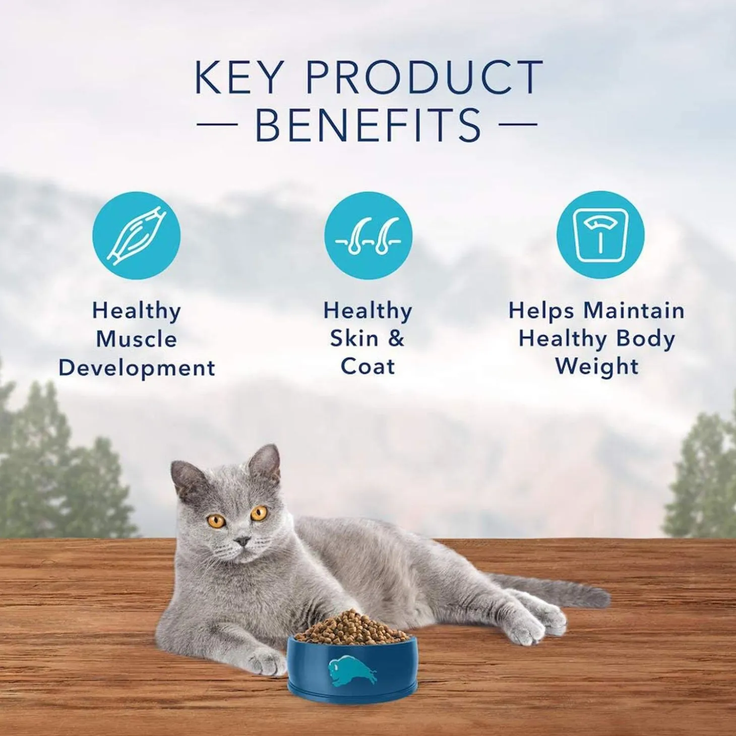 Wilderness Chicken Recipe Indoor Adult Cat Food