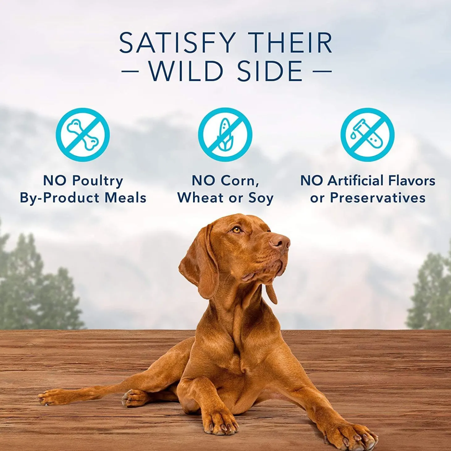 Wilderness Crunchy Trail Treats Duck Recipe Dog Treats