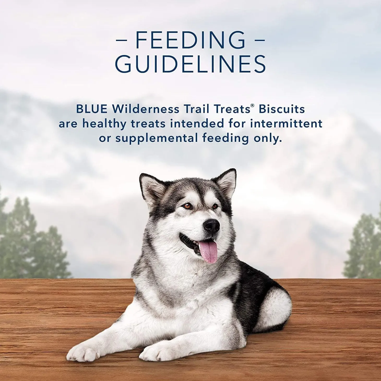 Wilderness Crunchy Trail Treats Duck Recipe Dog Treats
