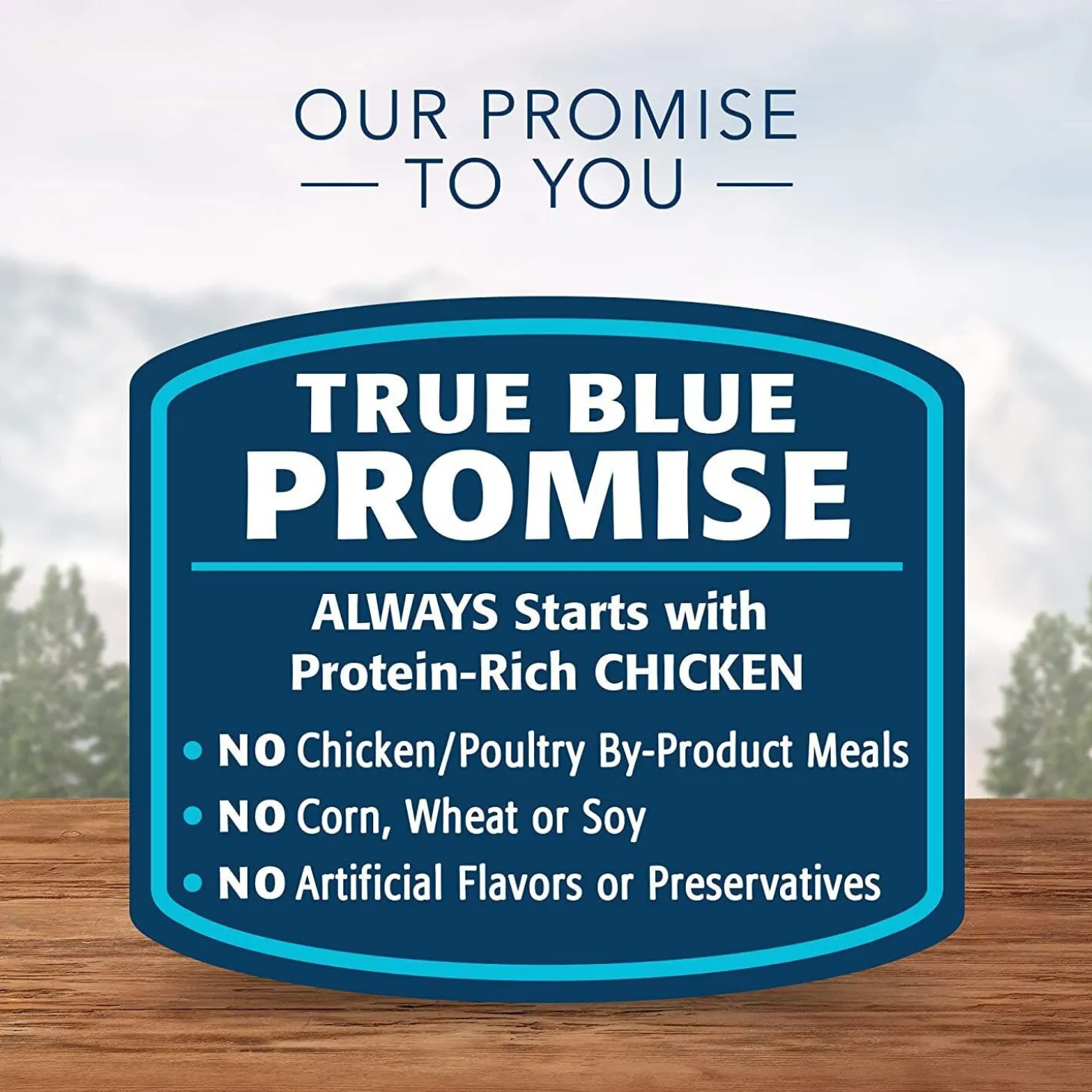 Wilderness Grain Free Chicken Recipe Kitten Cat Food