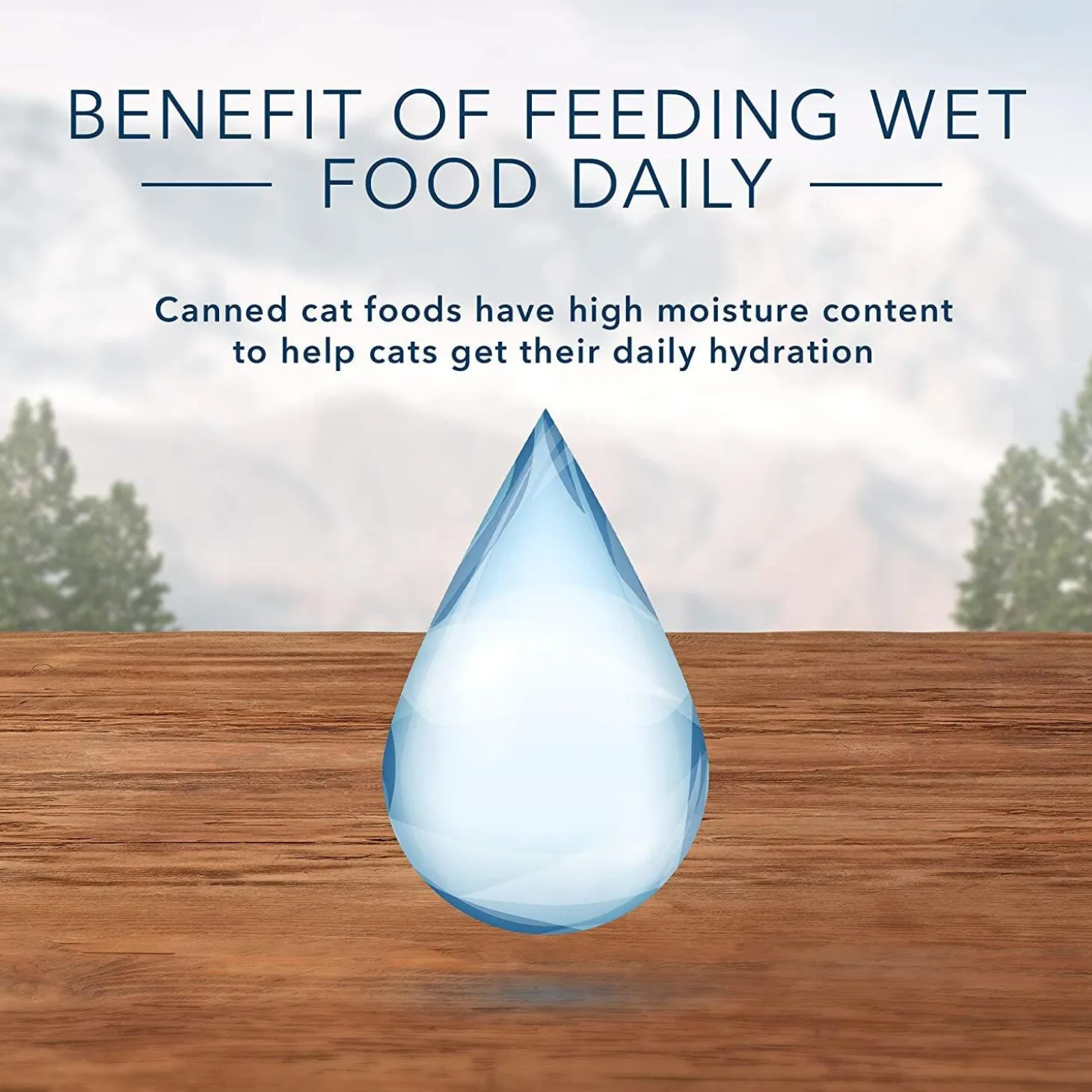 Wilderness Grain Free Chicken Recipe Mature Cat Food