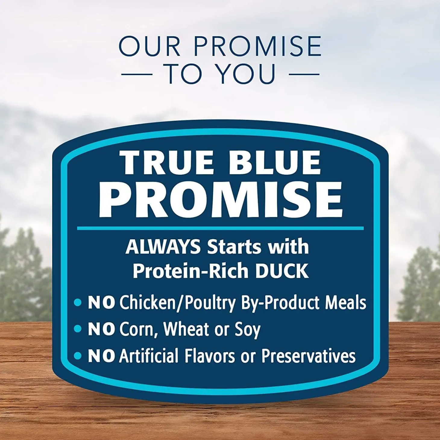 Wilderness Grain Free Duck Recipe Adult Cat Food